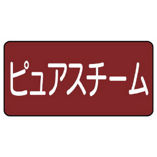 配管ステッカー ピュアスチーム