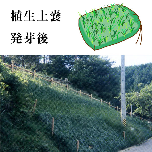 植生土嚢